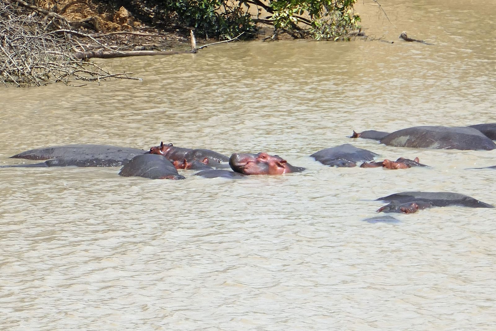 Pendjari National Park